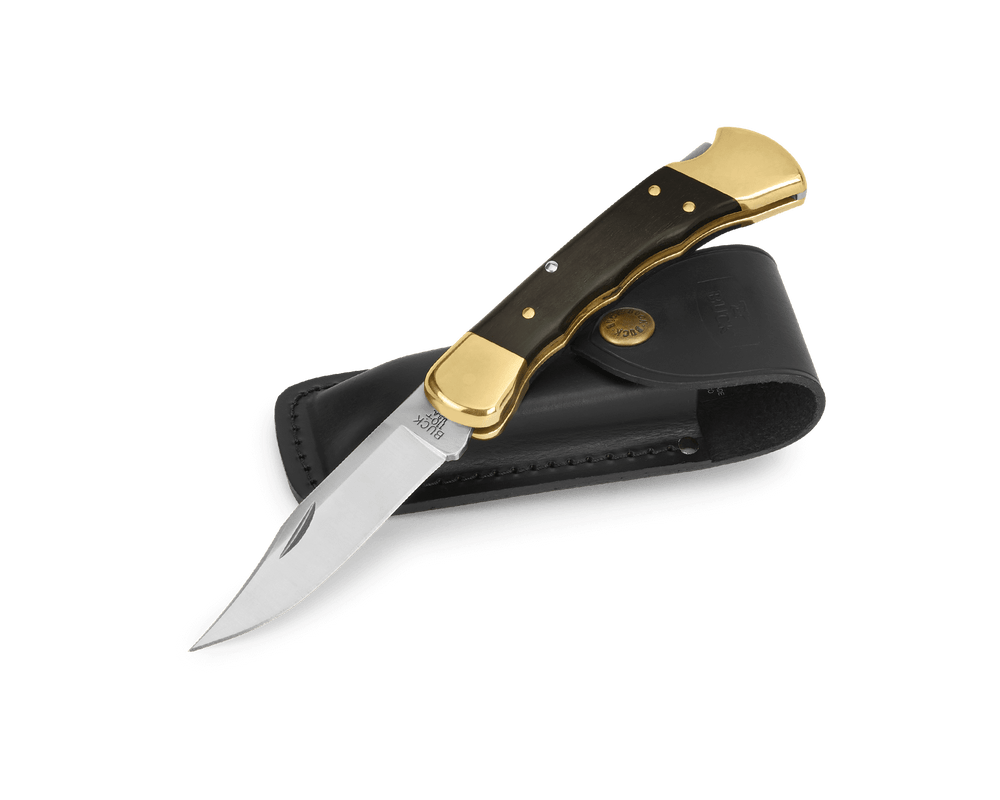 0110 Buck 110 Folding Hunter Knife